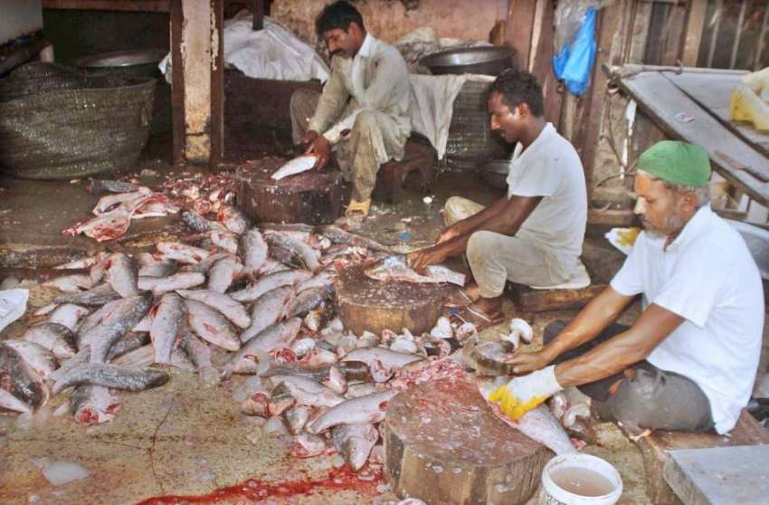 لاہور: دکاندار فروخت کے لیے مچھلی کی صفائی ستھرائی کر رہے ..