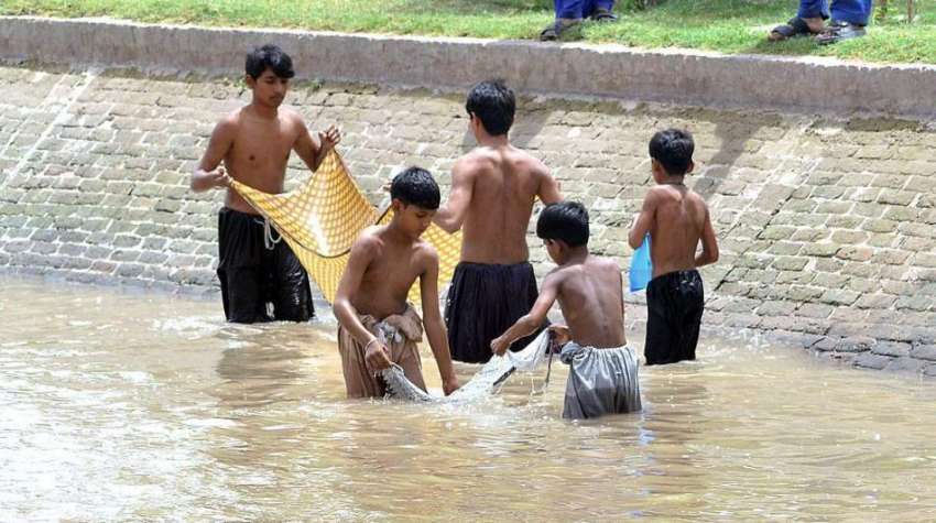 ملتان: خانہ بدوش بچے مقامی نہر سے مچھلیاں پکڑ رہے ہیں۔