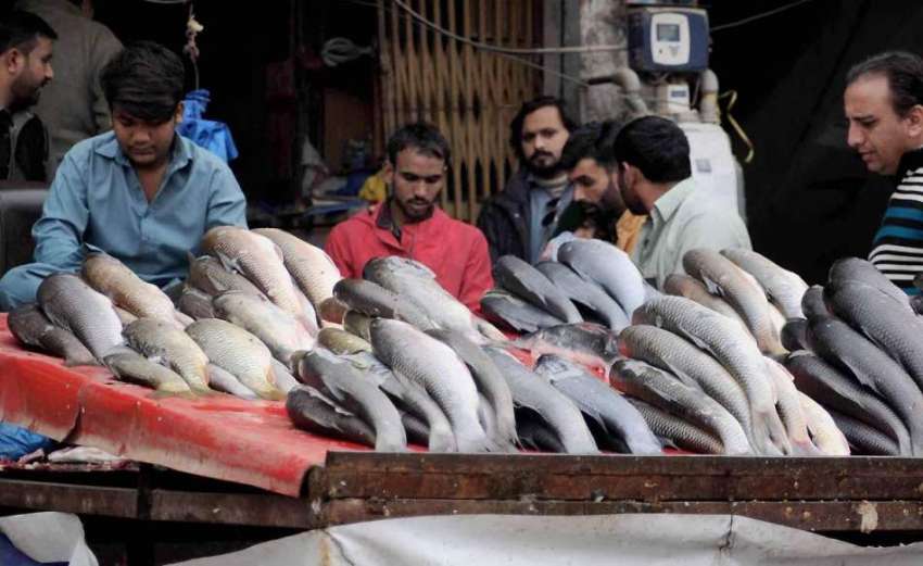 اسلام آباد: شہری بارش کے بعد ایک دکان سے مچھلی خرید رہے ہیں۔