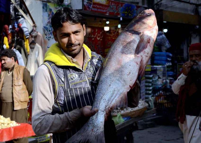 اٹک: ایک دکاندار بڑی سائز کی مچھلی دکھا رہا ہے۔