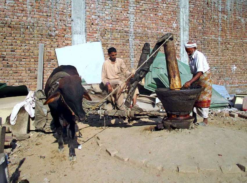 فیصل آباد: محنت کش روایتی انداز سے تیل نکال رہے ہیں۔