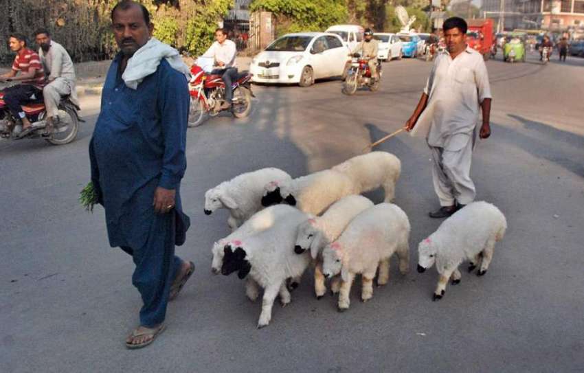 لاہور: بیوپاری چھترے فروخت کرنے کے لیے جار ہے ہیں۔