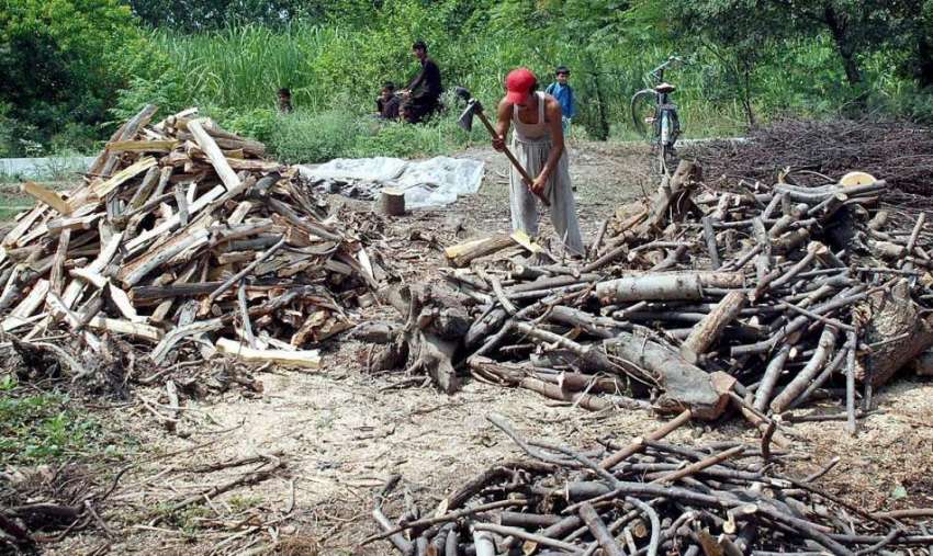 پشاور: محنت کش ٹال پر لکڑیاں کاٹ رہے ہیں۔