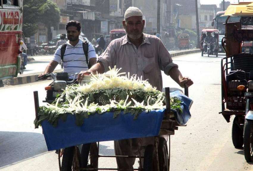 فیصل آباد: ریڑھی بان پھیری لگا کر مولیاں فروخت کررہا ہے۔
