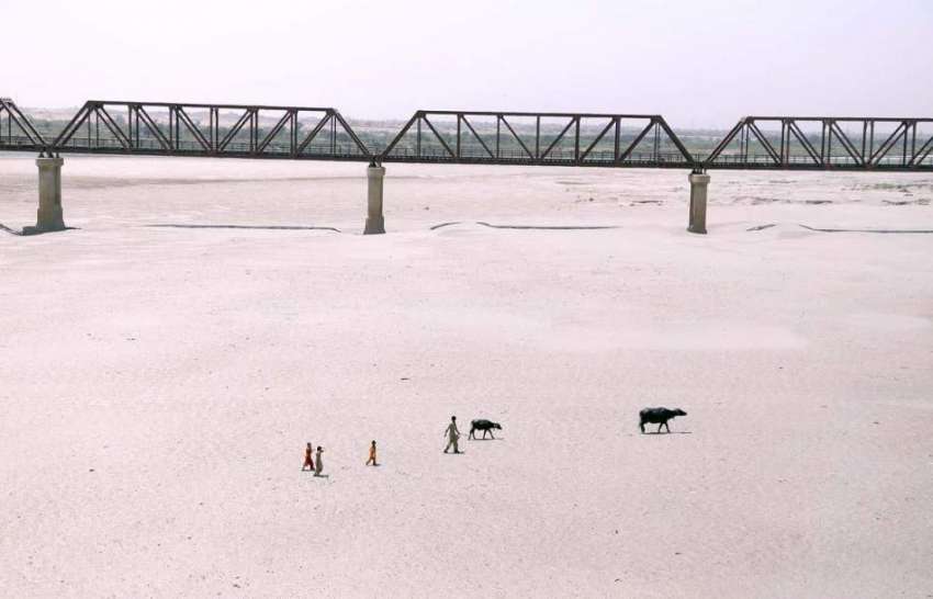 حیدر آباد: کوٹری بیراج کے مقام پر دریائے انڈس کا خشک حصہ۔