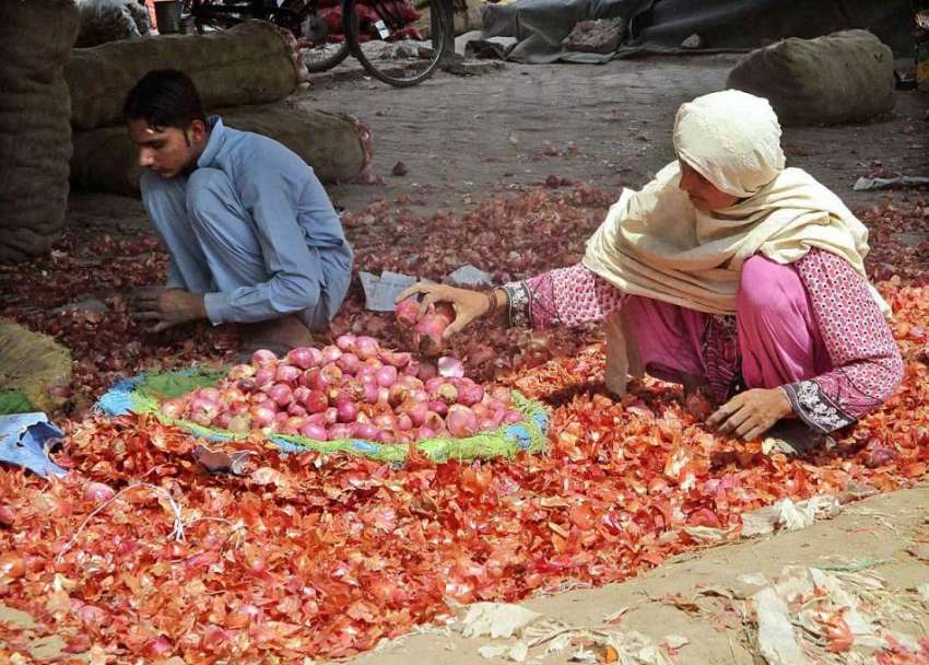 فیصل آباد: خاتون اور نوجوان محنت کش سبزی منڈی میں پیاز چھانٹی ..