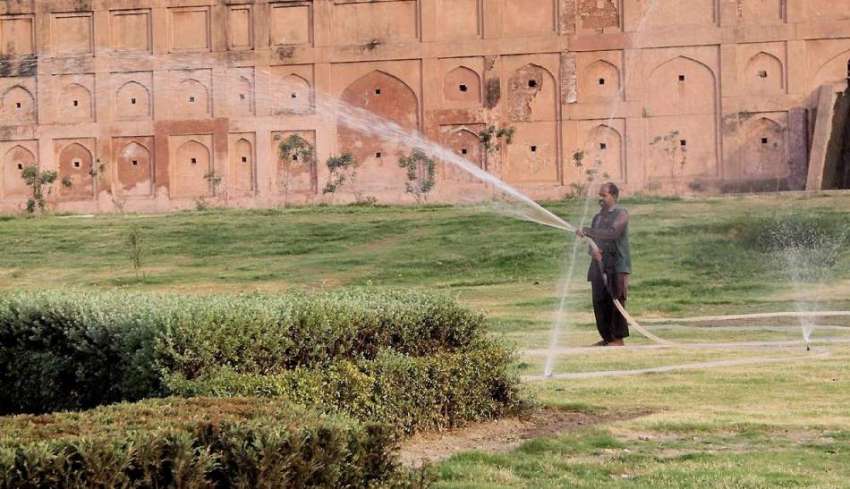 لاہور: گریٹر اقبال پارک میں مالی پودوں کو پانی لگار ہا ہے۔