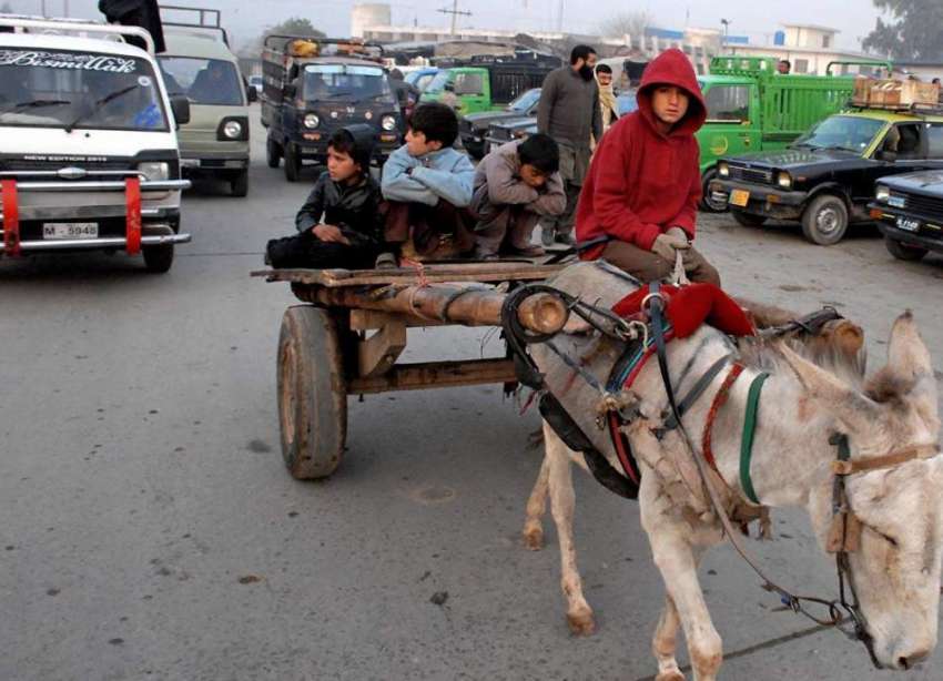 راولپنڈی: فروٹ منڈی میں خانہ بدوش بچے گدھا ریڑھے پر سوار ..