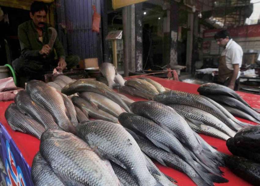 اسلام آباد: شہری کھنہ پل دکان سے مچھلی خرید رہے ہیں۔