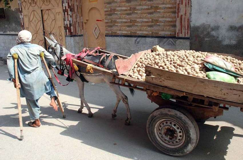 پشاور: ایک معذور شخض پھیری لگا کر آلو فروخت کر رہا ہے۔