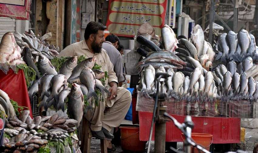 راولپنڈی: دکاندار مچھلی سجائے گاہکوں کا منتظر ہے۔