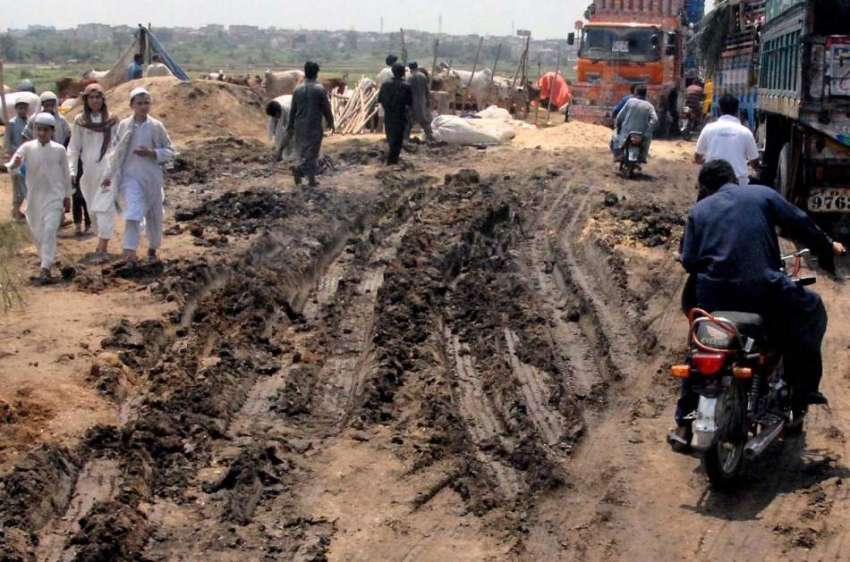 اسلام آباد: مویشی منڈی میں روڈ پر کیچڑ کے باعث شہریوں کو ..