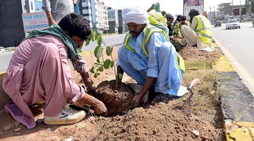 راولپنڈی: سر سبز پنجاب مہم کے دوران پی ایچ اے کے اہلکار پودے ..