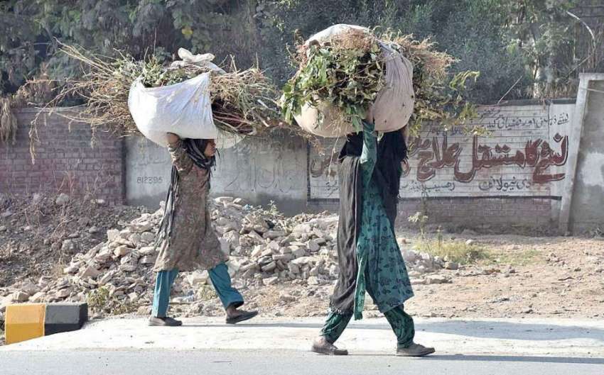 پشاور: خانہ بدوش خواتین چولہا جلانے کی غرض سے خشک لکڑیاں ..
