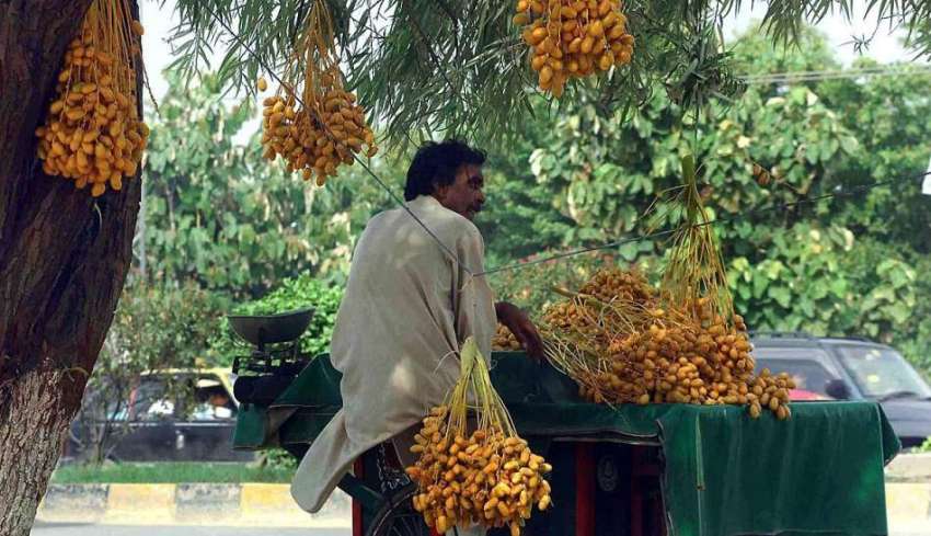 راولپنڈی: محنت کش تازہ کھجوریں سجائے گاہکوں کا منتظر ہے۔