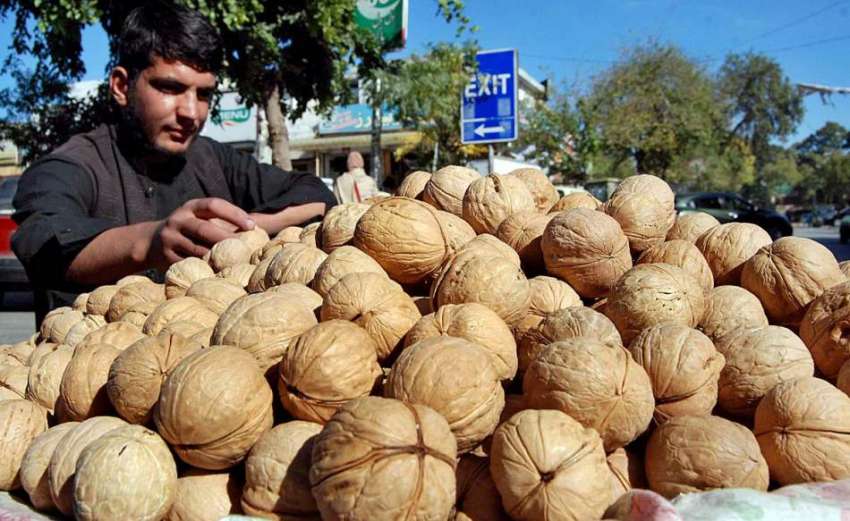 اسلام آباد: ریڑھی بان اخروٹ فروخت کے لیے سجارہا ہے۔
