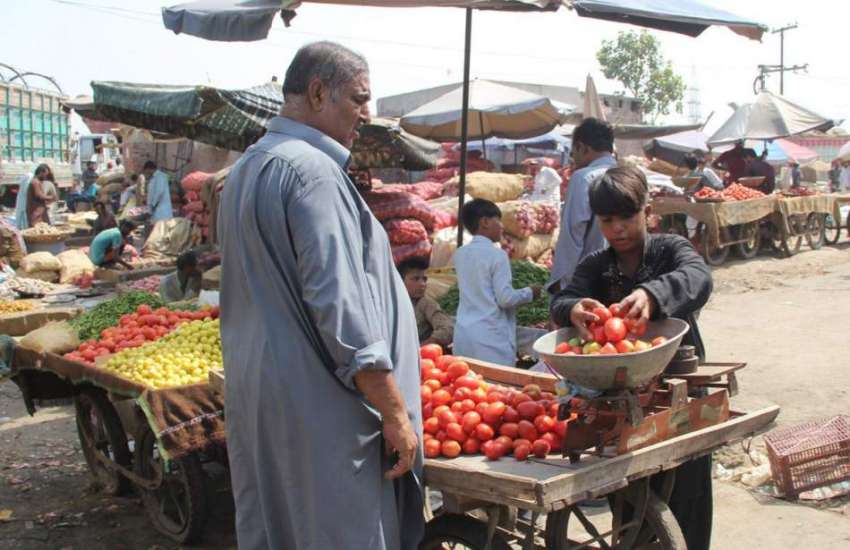 لاہور: ایک شخص سبزی منڈی میں ٹماٹر خرید رہا ہے۔