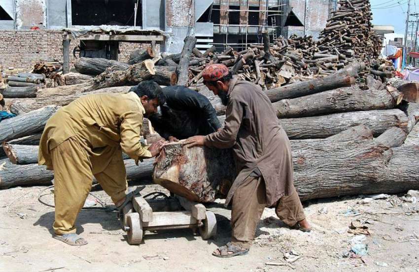 فیصل آباد: مزدور لکڑی کے ٹال پر کام میں مصروف ہیں۔