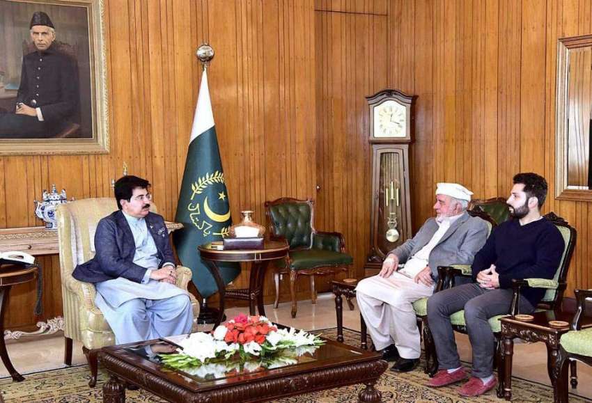 اسلام آباد: قائمقام صدر محمد صادق سنجرانی سے سینیٹر شمیم ..