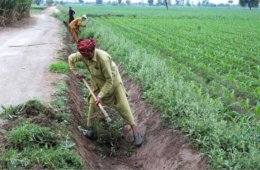 فیصل آباد: کسان کھیتوں کو پانی لگانے کے لیے ندی کی صفائی ..