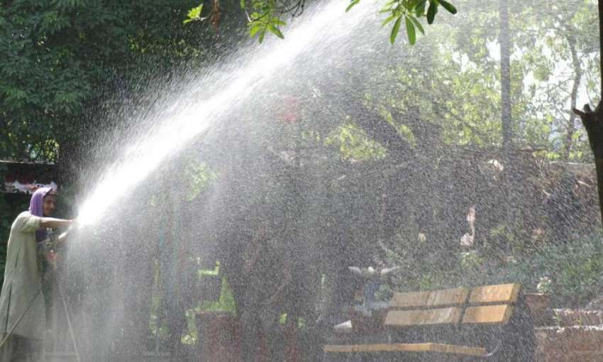 لاہور: پی ایچ اے کا ملازم مقامی پارک میں درختوں کوں پانی ..