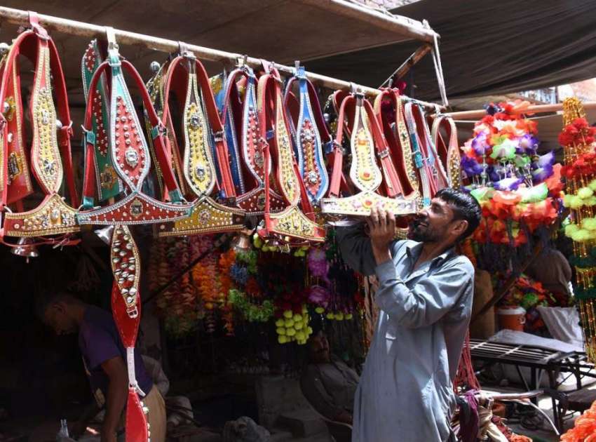 لاہور: عید قربان کی آمد کے موقع پر ایک دکاندار نے جانوروں ..