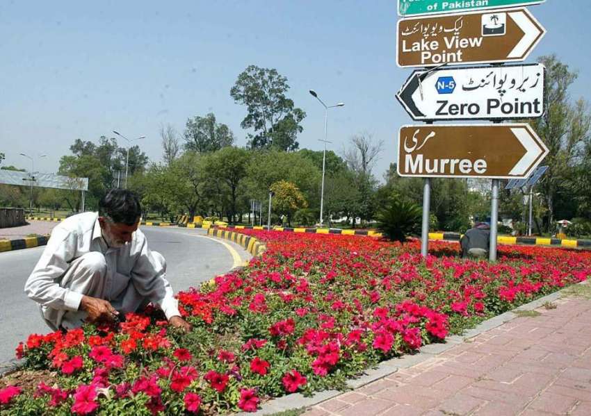 اسلام آباد:سی ڈی کا اہلکار پھولوں کی دیکھ بھال میں مصروف ..