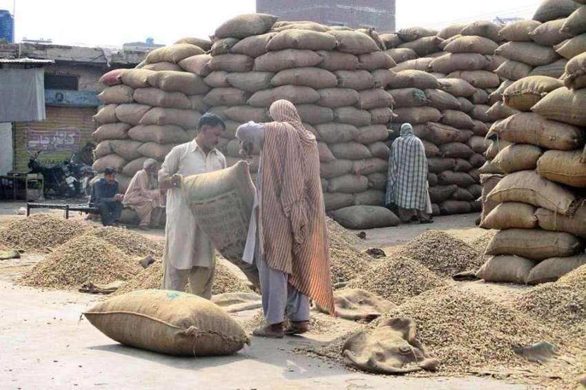 فیصل آباد: غلہ منڈی میں دکاندار گاہکوں کو متوجہ کرنے کے لیے ..