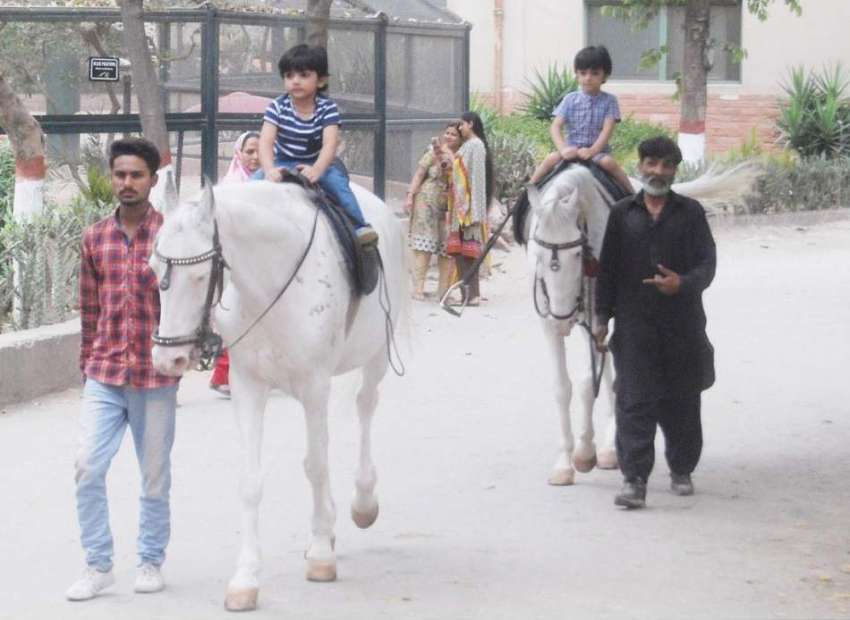 لاہور: شہر کا موسم خوشگوار ہونے پر چڑیا گھر میں سیرو تفریح ..