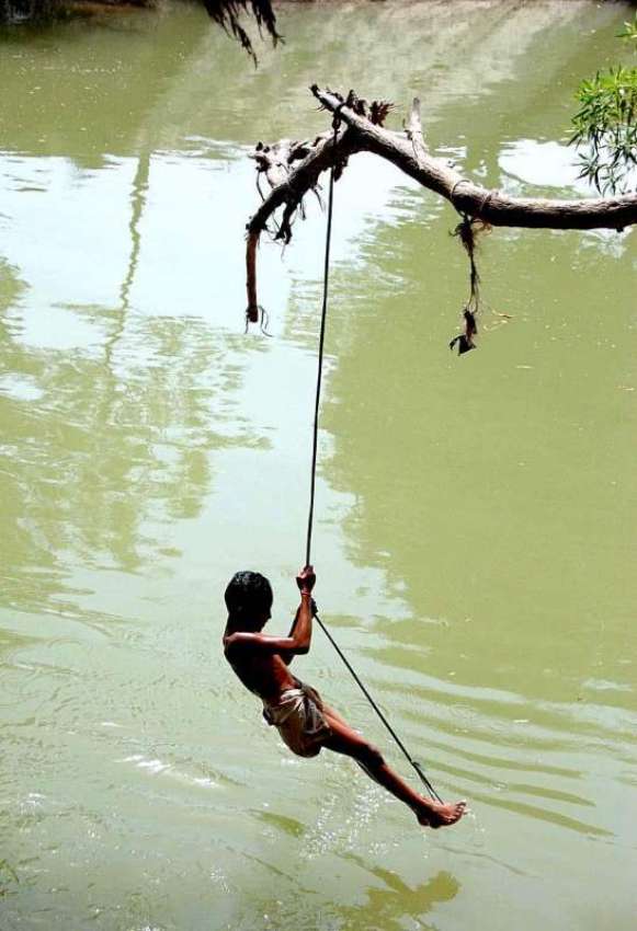 حیدر آباد: نوجوان نہر کنارے لگے درخت پر جھولا ڈالے لطف اندوز ..