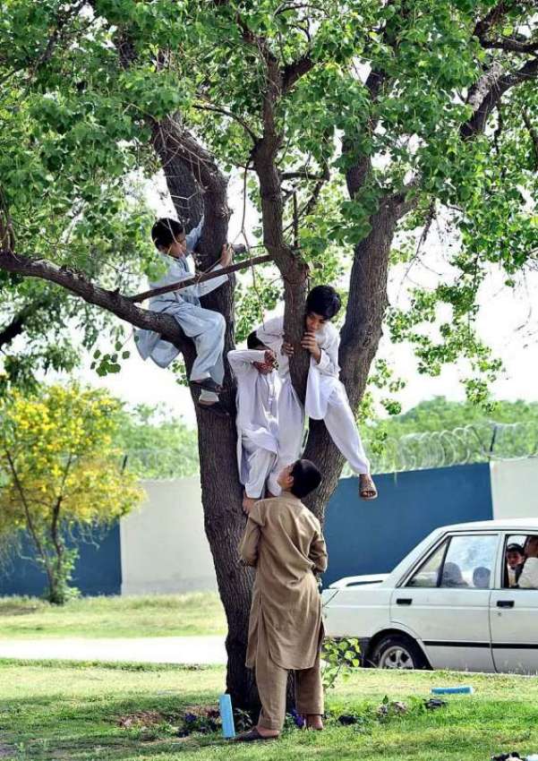 اسلام آباد:مقامی پارک میں بچے کھیل کود میں مصروف ہیں۔