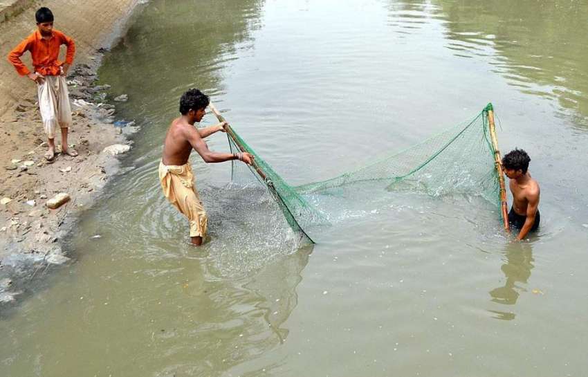 ملتان: نوجوان نہر سے مچھلیاں پکڑنے کی کوشش کر رہے ہیں۔