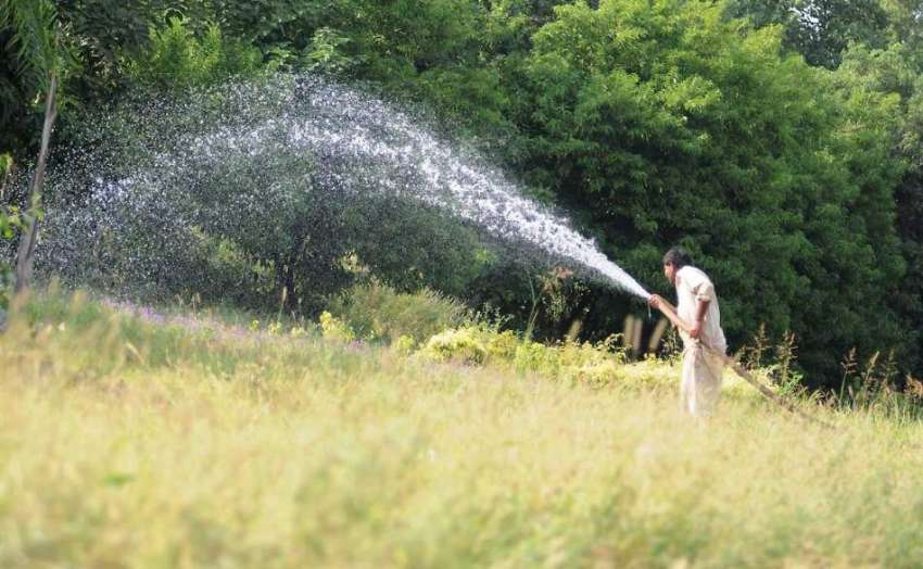 اسلام آباد: پی ایچ اے کا اہلکار سبزہ زار کو پانی لگار ہا ہے۔
