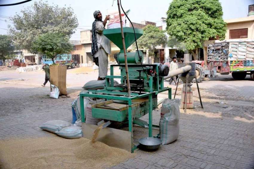 سیالکوٹ: مزدور گندم کی صفائی کر رہا ہے۔