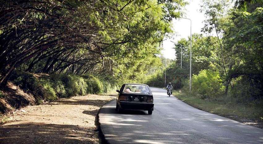 اسلام آباد: وفاقی دارالحکومت میں سڑک کنارے لگے درخت دلکش ..