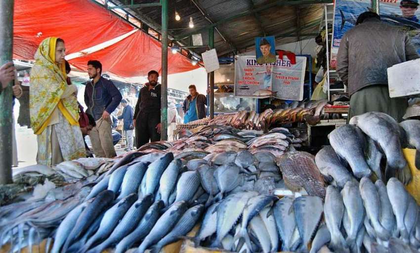 اسلام آباد: سردی کی شدت میں اضافے کے بعد دکاندار مچھلی فروخت ..