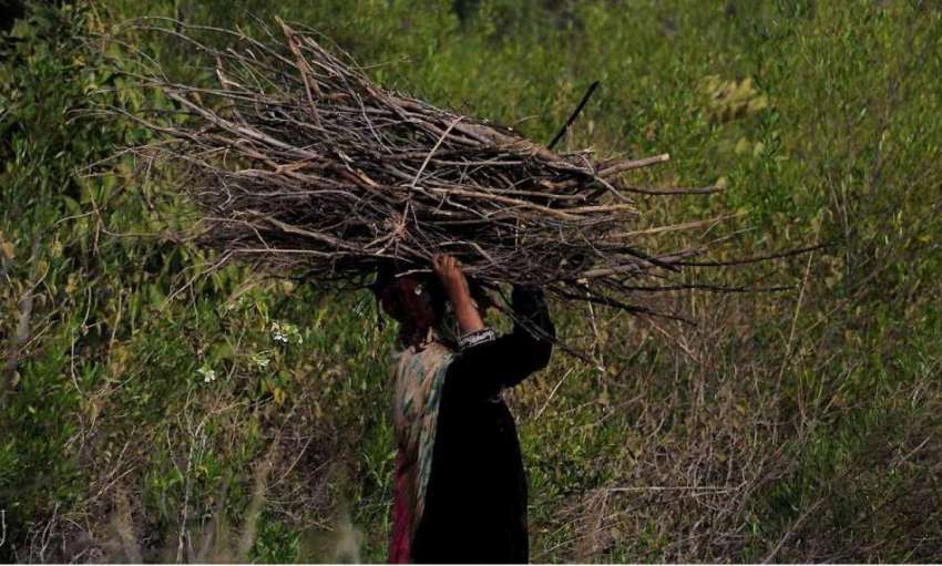 اسلام آباد: ایک خاتون گھر کا چولہا جلانے کے لیے خشک لکڑیاں ..