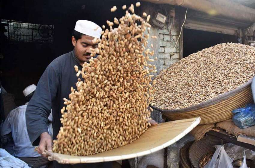 پشاور: محنت کش مونگ پھلی چھانٹ رہاہے۔