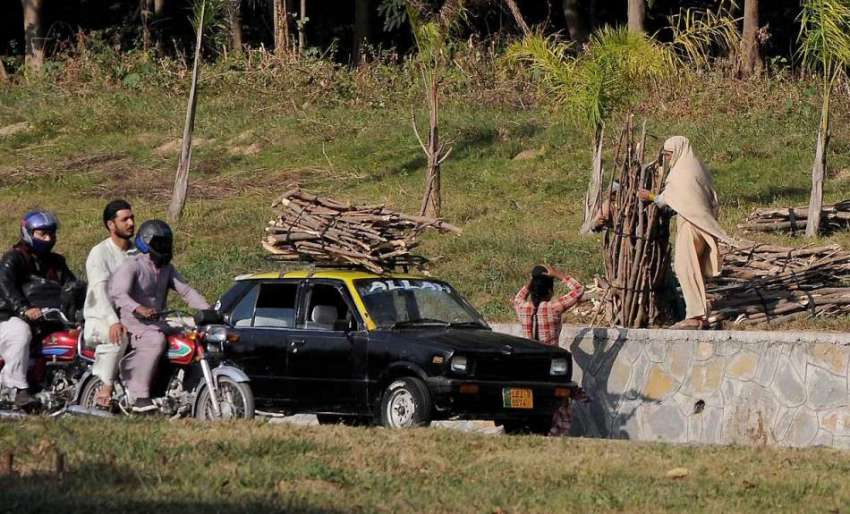 اسلام آباد: خواتین جنگل سے لکڑی کاٹ کر گاڑی پر لوڈ کر رہی ..