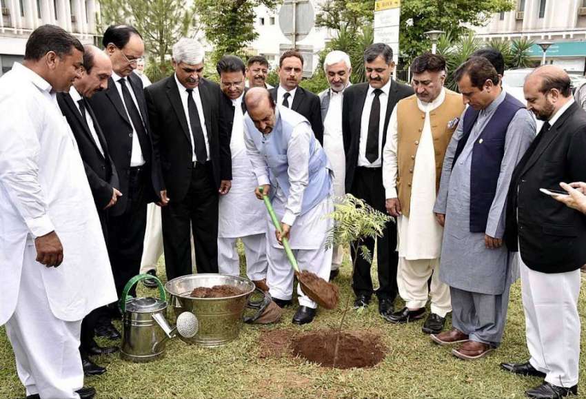 اسلام آباد: وزیراعظم کے مشیر ڈاکٹر بابراعوان پودا لگا کرشجر ..