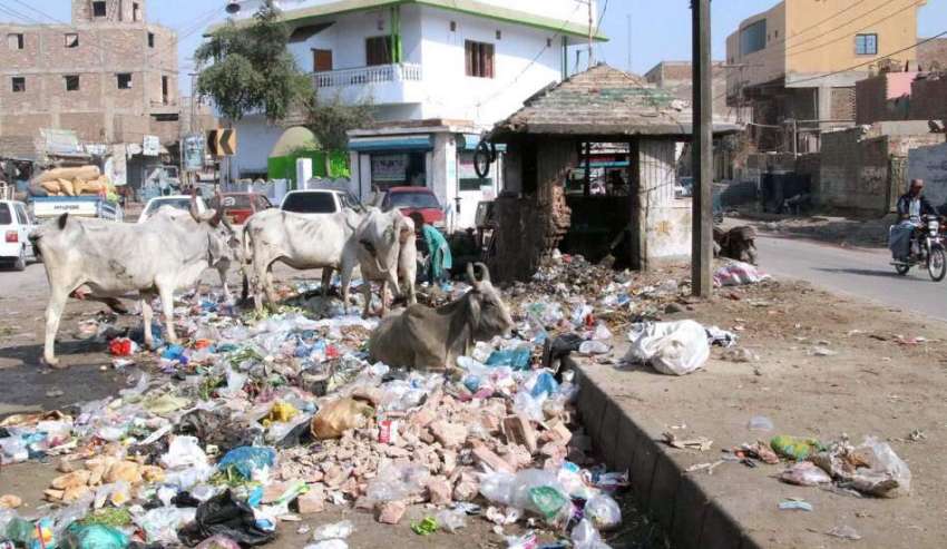 حیدر آباد: مکی شاہ روڈ پر پڑا کچرا وبائی امراض کا باعث بن ..