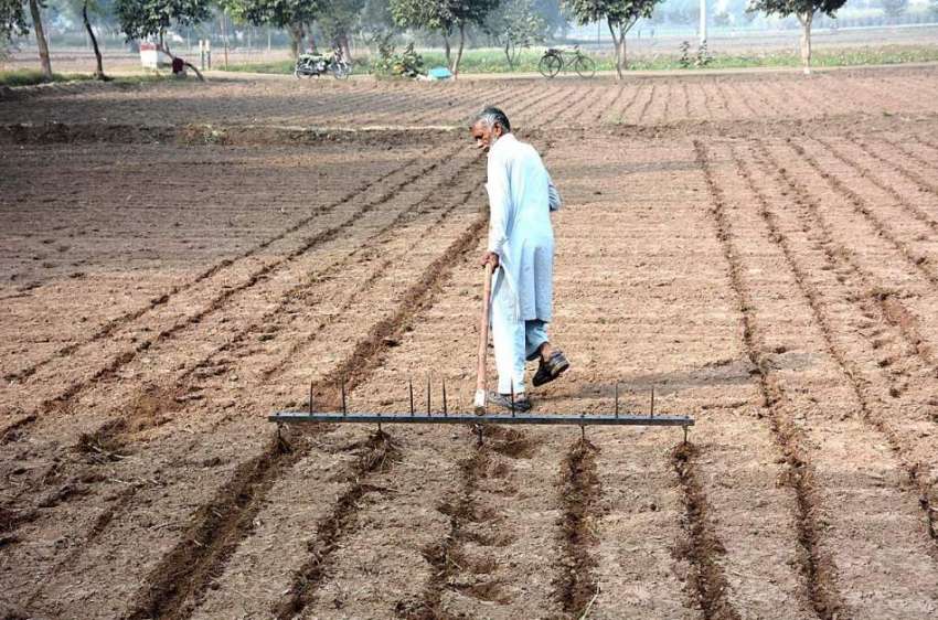 فیصل آباد: کسان کھیت کے فصل کے لیے تیار کررہا ہے۔