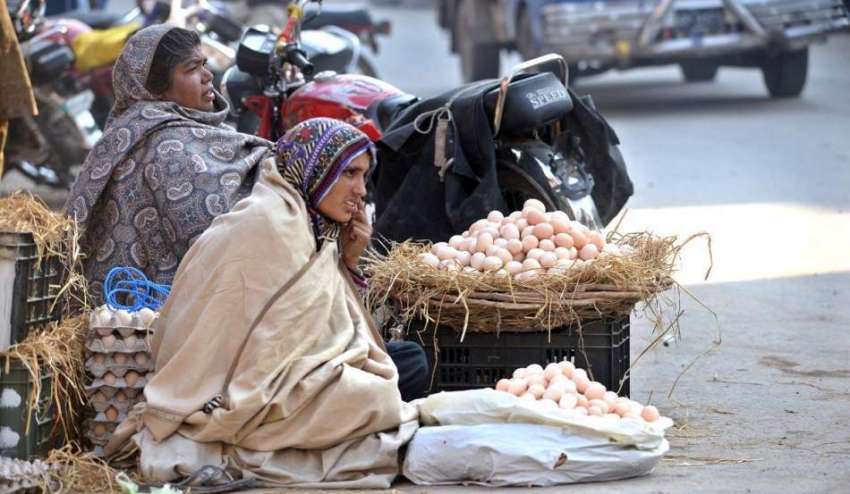 راولپنڈی: محنت کش خواتین گھر کی کفالت کے لیے انڈے فروخت کررہی ..