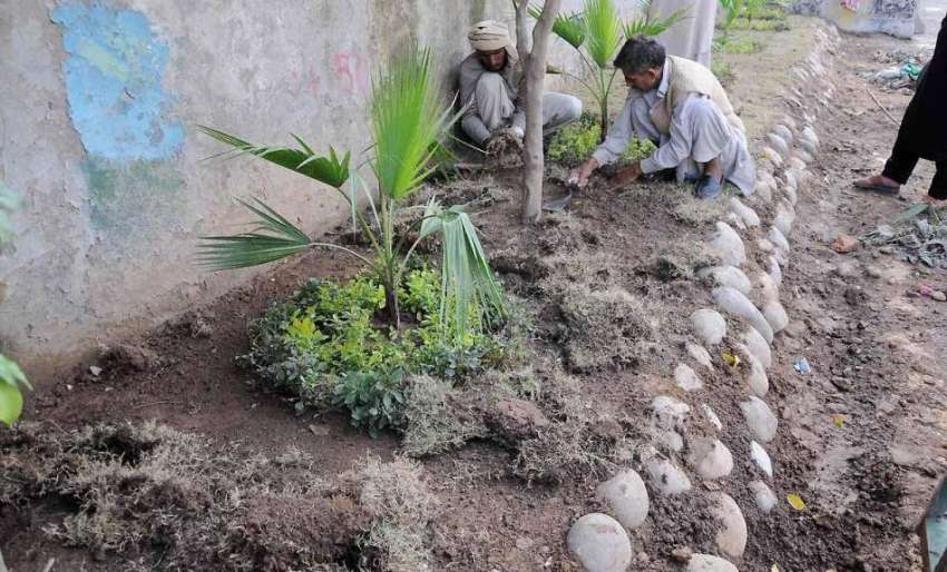 راولپنڈی: پی ایچ اے کے مالی لیاقت باغ روڈ کنارے کیاریوں میں ..