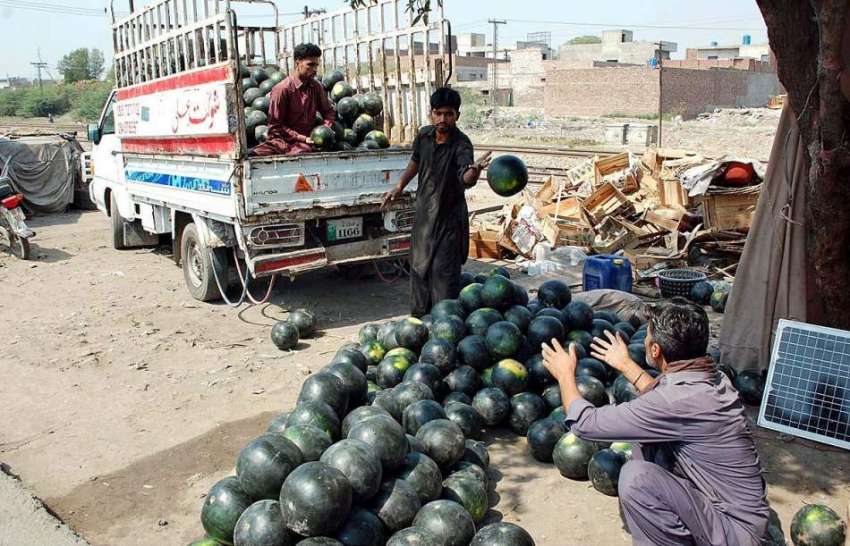 فیصل آباد: ایک محنت کش فروخت کے لیے تربوز گاڑی سے اتار رہا ..