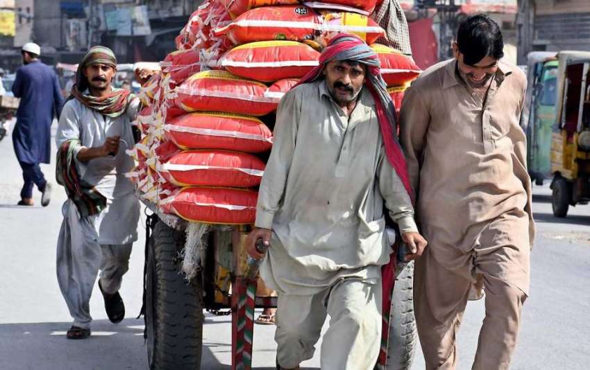 راولپنڈی: سخت دھوپ اور گرمی میں مزدور ہتھ ریڑھے پربھاری ..