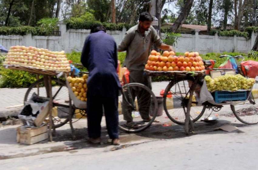 راولپنڈی: محنت کش سائیکل پر فروٹ فروخت کے لیے سجا رہاہے۔