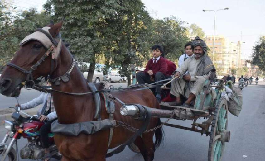 لاہور: سکول سے چھٹی کے بعد طالبعلم تانگہ ریڑھے پر سوار ہو ..
