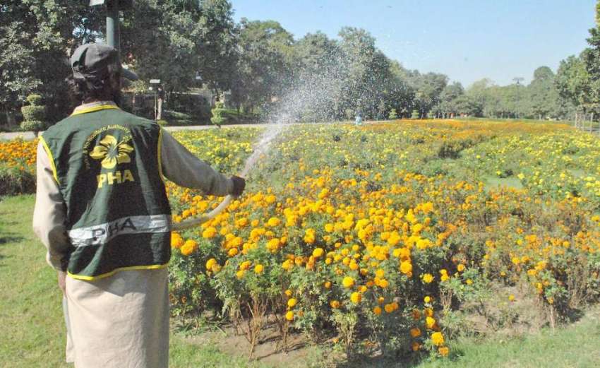 لاہور: پی ایچ اے کے مالی پھولوں کو پانی دے رہے ہیں۔