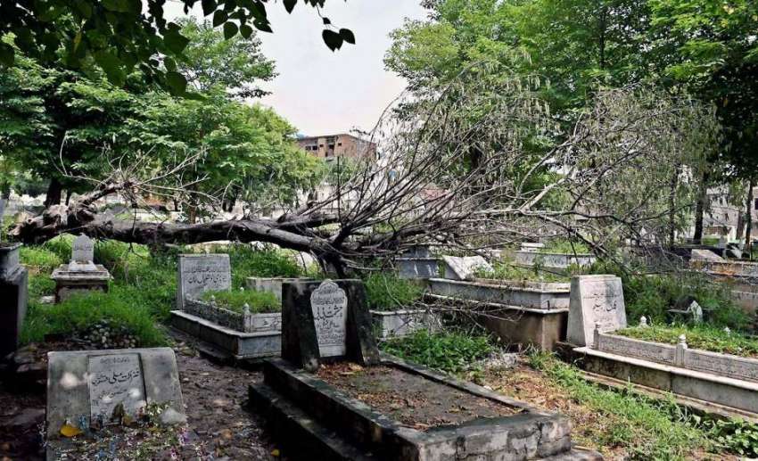 راولپنڈی: بارش اور طوفان کے باعث پیر ودھائی قبرستان میں ..